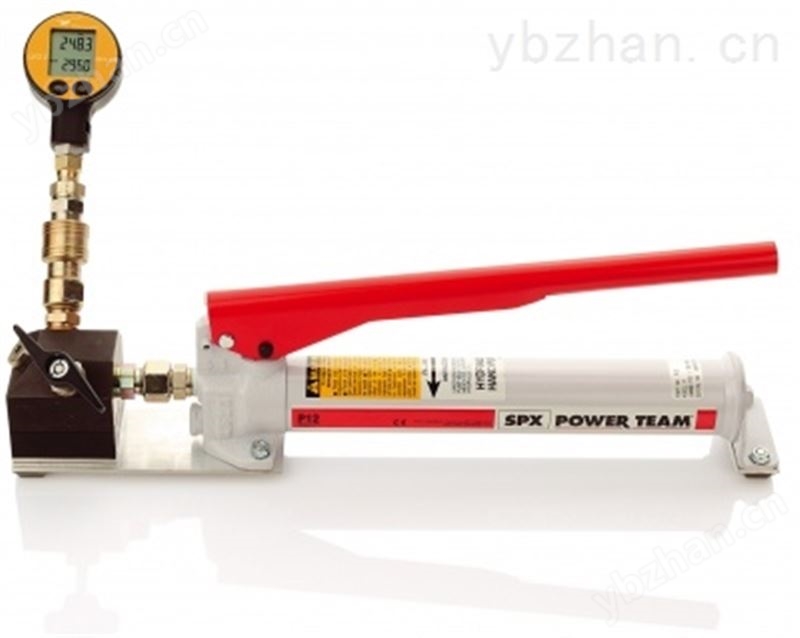 HP Pump P12