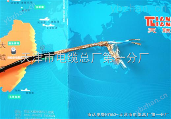 變頻電纜BPYJVP變頻電纜BPYJVP現(xiàn)貨