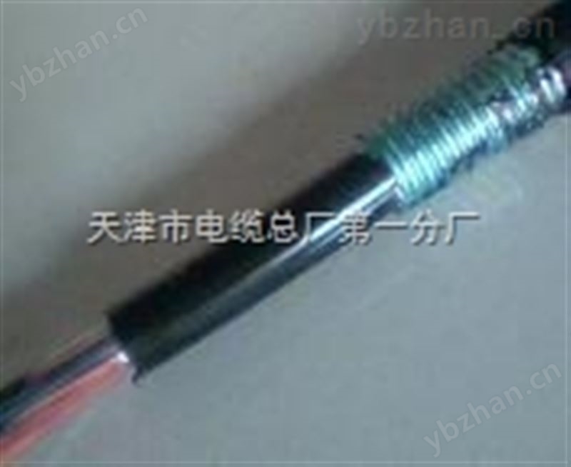 本安防爆信號電纜ia -K2YVR|ia-K3YV|ia-K3YVR