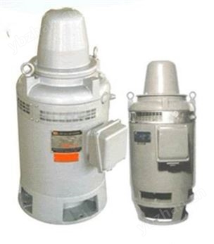VHS系列立式深井泵電機(jī)
